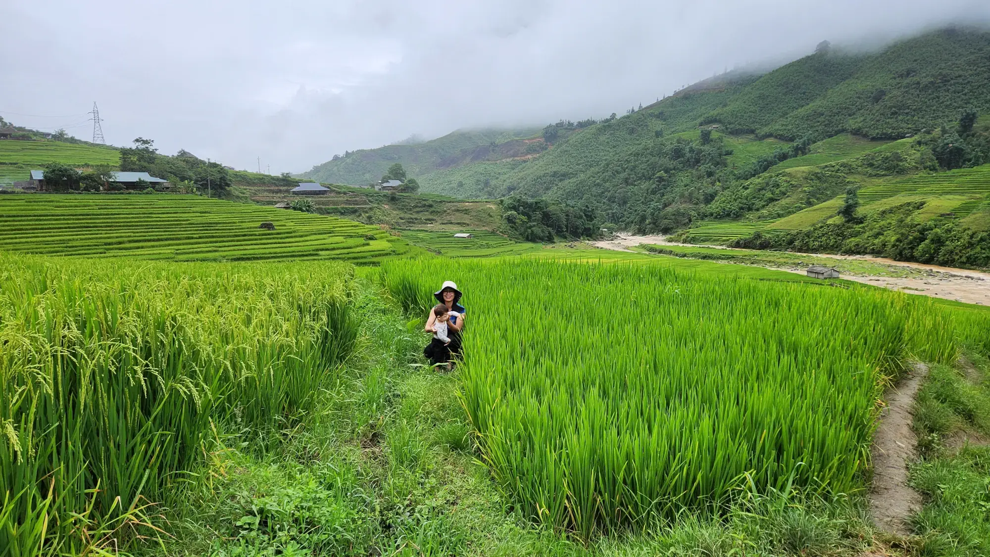 Sitting in the rice terraces, Muong Hoa Valley, Sapa, Vietnam Sitting in the rice terraces, Muong Hoa Valley, Sapa, Vietnam